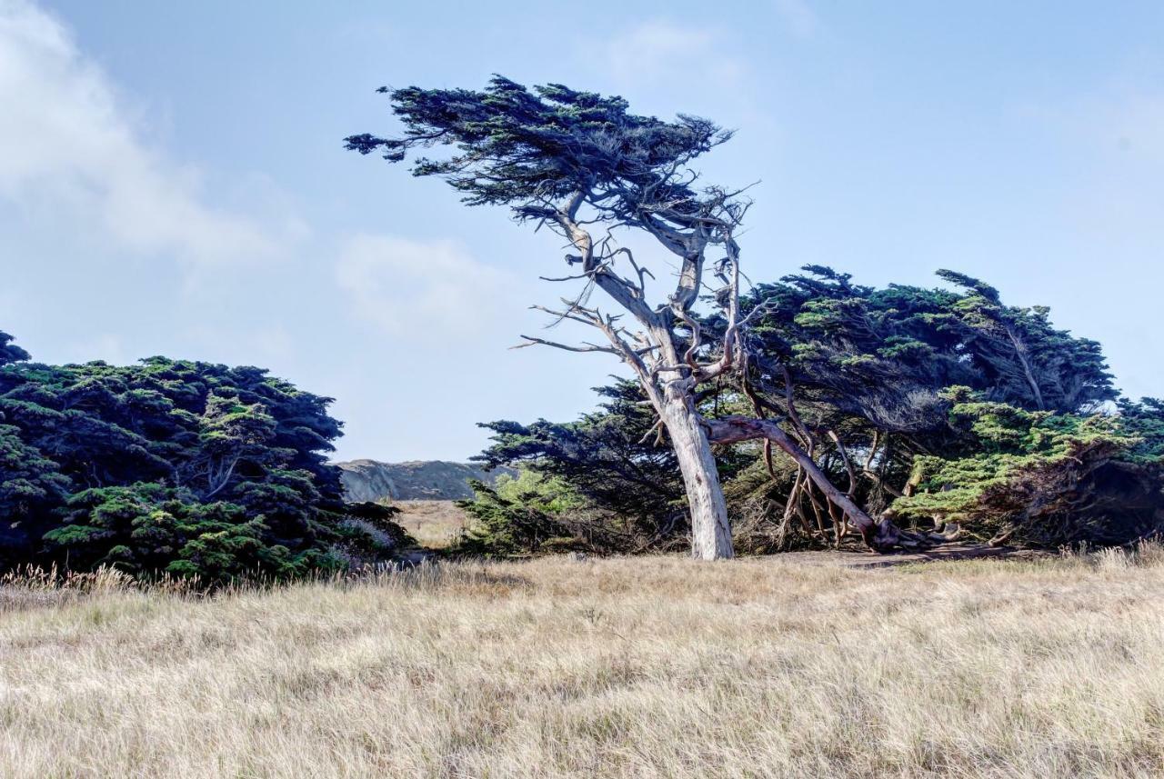 Bayside Cottage Bodega Bay Exteriér fotografie
